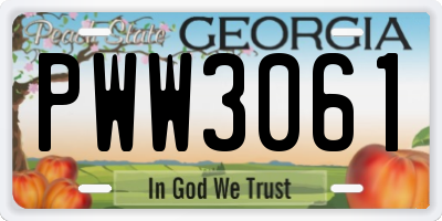 GA license plate PWW3061