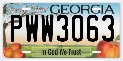 GA license plate PWW3063