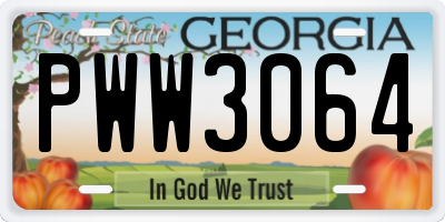 GA license plate PWW3064