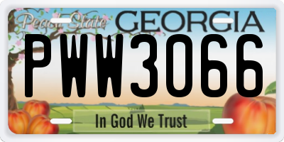 GA license plate PWW3066