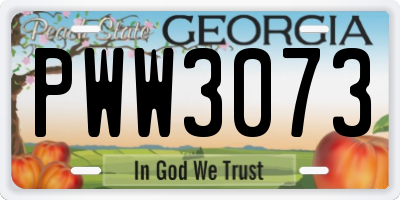 GA license plate PWW3073