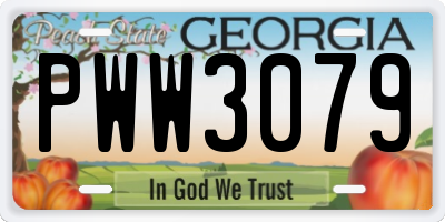 GA license plate PWW3079