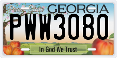 GA license plate PWW3080