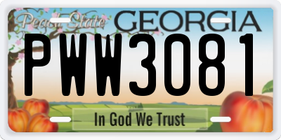 GA license plate PWW3081