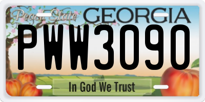 GA license plate PWW3090