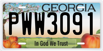 GA license plate PWW3091