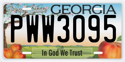 GA license plate PWW3095