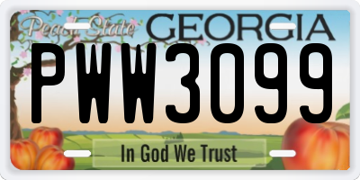 GA license plate PWW3099