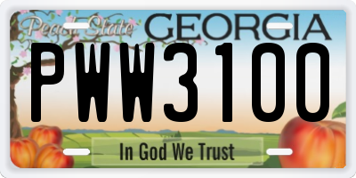 GA license plate PWW3100