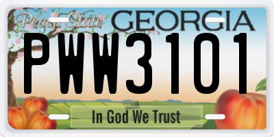 GA license plate PWW3101