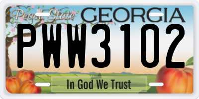 GA license plate PWW3102