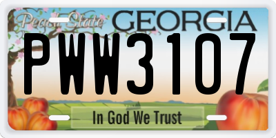 GA license plate PWW3107