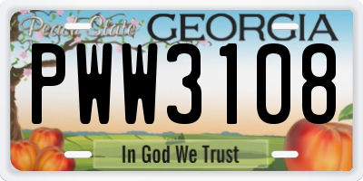 GA license plate PWW3108