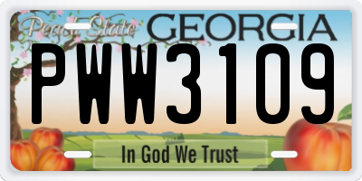 GA license plate PWW3109
