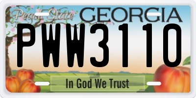 GA license plate PWW3110