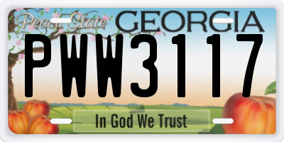 GA license plate PWW3117