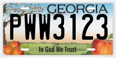 GA license plate PWW3123