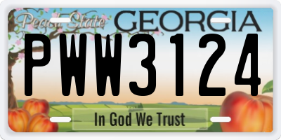 GA license plate PWW3124