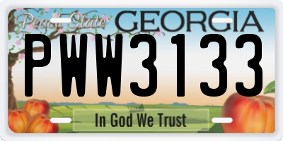 GA license plate PWW3133