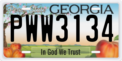 GA license plate PWW3134
