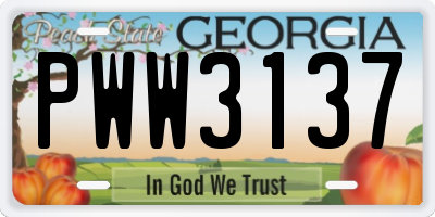 GA license plate PWW3137