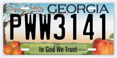 GA license plate PWW3141