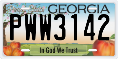 GA license plate PWW3142