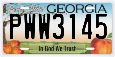 GA license plate PWW3145