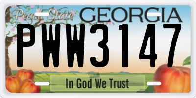 GA license plate PWW3147