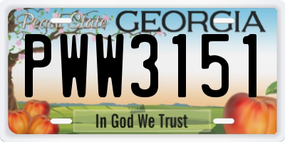 GA license plate PWW3151
