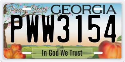 GA license plate PWW3154