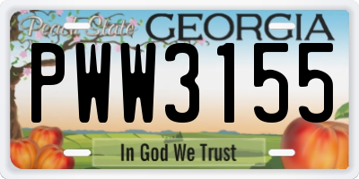 GA license plate PWW3155