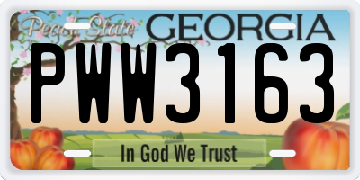 GA license plate PWW3163