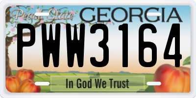 GA license plate PWW3164