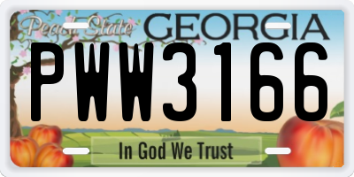GA license plate PWW3166