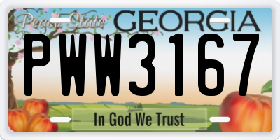 GA license plate PWW3167