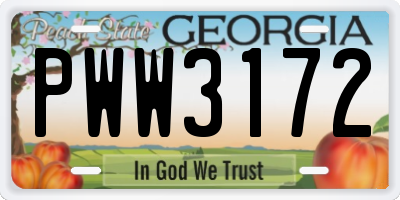 GA license plate PWW3172