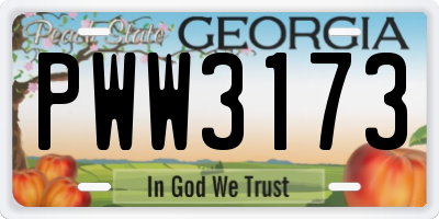 GA license plate PWW3173
