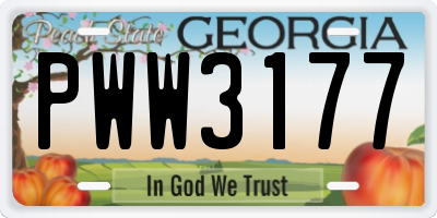 GA license plate PWW3177