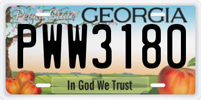 GA license plate PWW3180