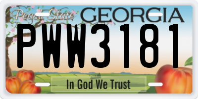 GA license plate PWW3181