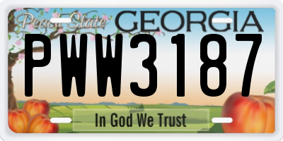 GA license plate PWW3187