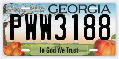 GA license plate PWW3188