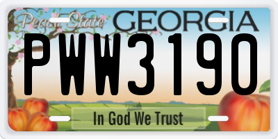 GA license plate PWW3190