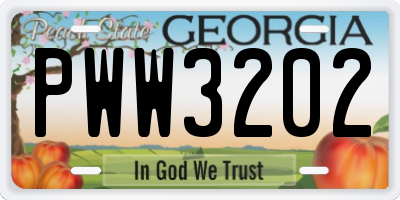 GA license plate PWW3202