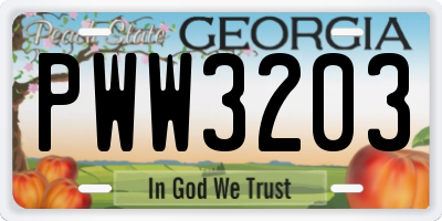 GA license plate PWW3203