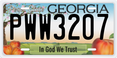 GA license plate PWW3207