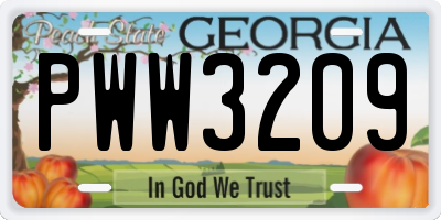 GA license plate PWW3209
