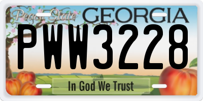 GA license plate PWW3228