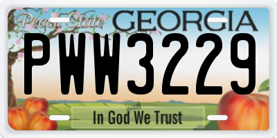 GA license plate PWW3229